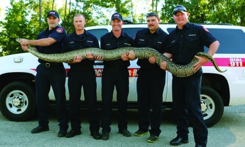 nacogdoches-venom-team-v2.jpg