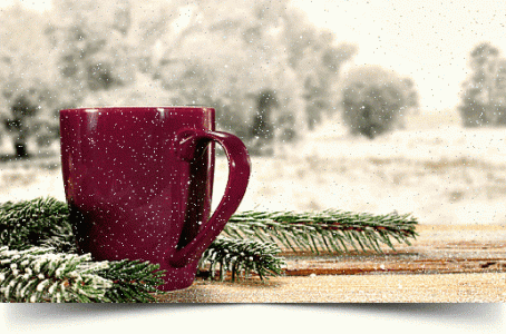 d7b67a77205100ffcd964c500b71eab2.gif