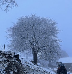 Winter scene.1.jpg