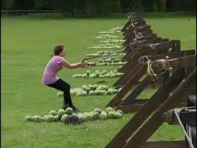 tumblr_inline_o6s2qkek6q1rywihe_500.gif