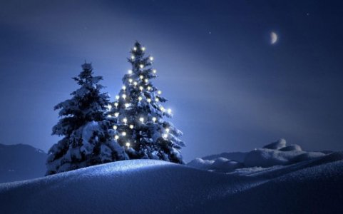 christmas_tree_with_lights_in_snow_field_during_nighttime_hd_christmas_tree-t2.jpg