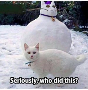 FB_IMG_16086105778537312.jpg