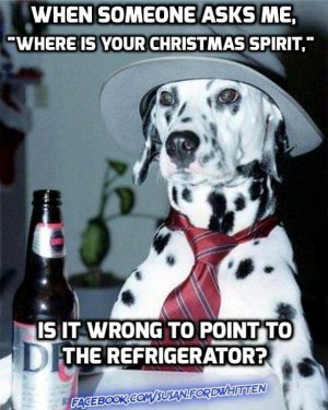 FB_IMG_16087008307527772.jpg