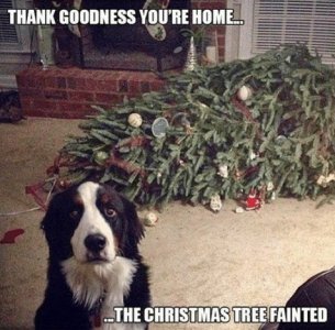 tree xmas.jpg