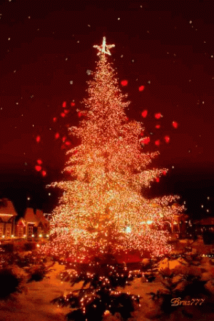 2f2814e08d58b9d40957947d77d77d41[1].gif