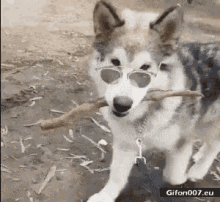 tenor (13).gif