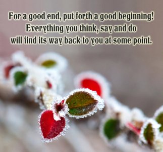 frozen-colorful-leaves-picture-quote-do-your-best-598px[1].jpg