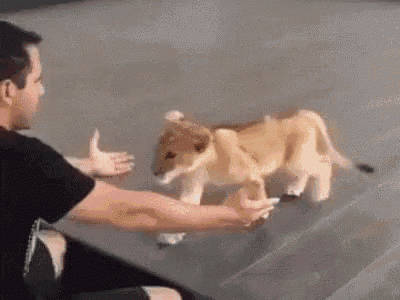 tenor (14).gif