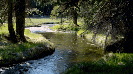 Stream.gif