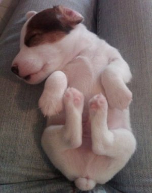 jpg-format-16088628611028979932tumblrlgv77opsMy1qbaukgo1400large.jpg
