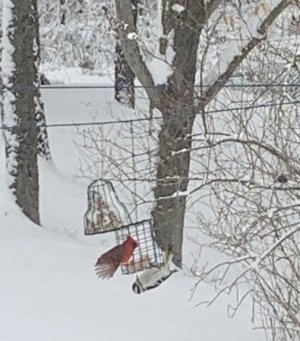147F0936-7242-48C5-80A5-56AA6D9793CE.jpeg
