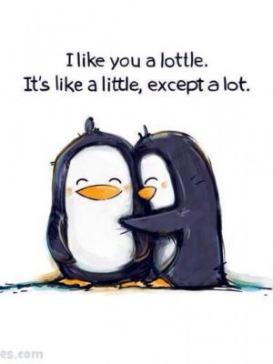 Lottle copy.jpg