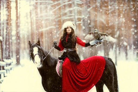 winter red morn.jpg