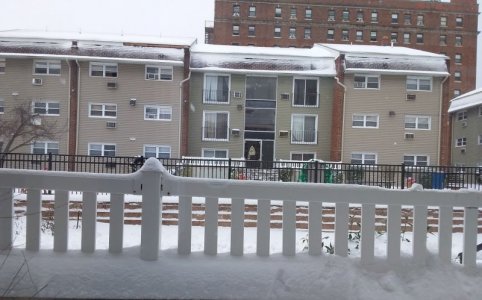 Snow Fall 2020.jpg