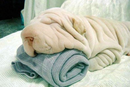 Towels @.jpg