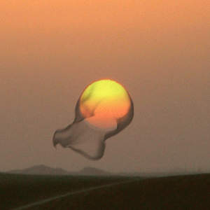 tumblr_ef76a775f477786fabcbb16177c3c978_91921dc6_540.gif