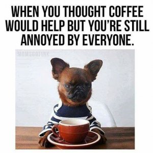6d888ec30e7f0b4ca49a6c7553c913a0[1].jpg