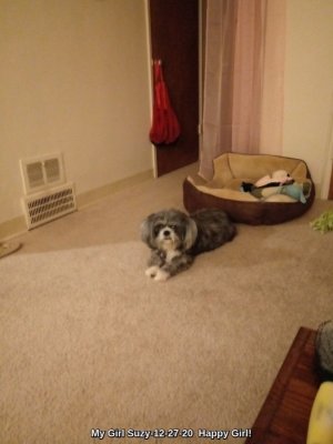 Suzy122720happygirl.jpg Suzy122720happygirl.jpg