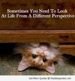 895f0650dc595c6f1b4c9d5daf67c630[1].jpg