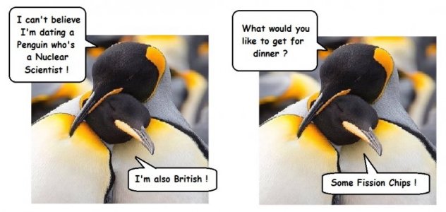 penguin.jpg