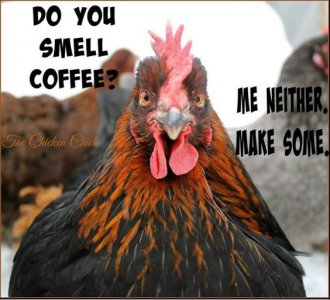 51ea875fc4198c039a4f789107424ec0[1].jpg