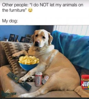 FB_IMG_16093782483850124.jpg