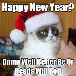 Here Are Some New Year's Memes For a Purrfect 2019.jpeg