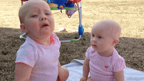 giphy (11).gif