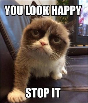 happy.jpg