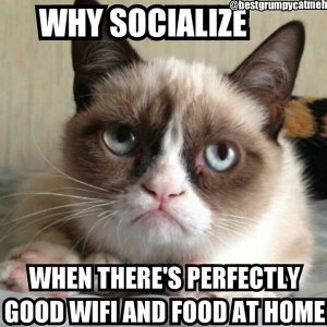 grumpy-cat-meme-14.jpg