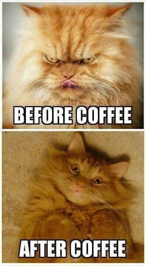 coffee2.jpg