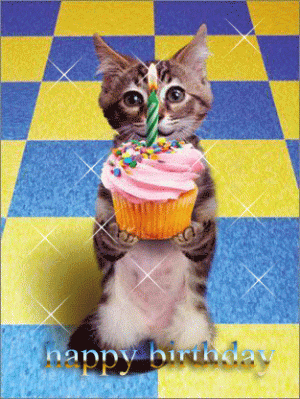 birthday-cat 1.gif