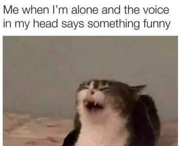 somethingfunny.jpg