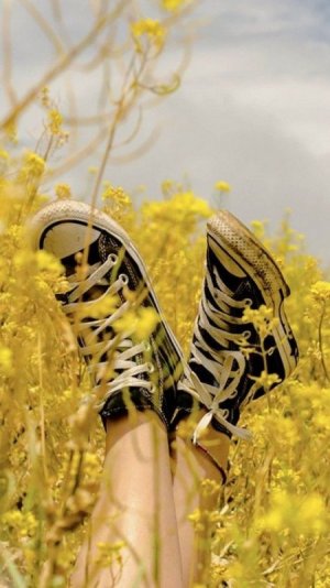 tumblr_ee4365d030599e9eb4c58d2fbe685aea_c0cb396d_640.jpg