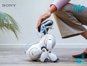Aibo-robot-dog2.jpg