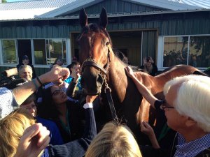 american pharoah.jpg