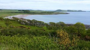 bute3.jpg bute3.jpg
