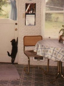 I want out.JPG