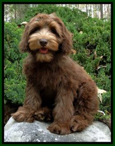 Kip sit 4 mos old 2.jpg