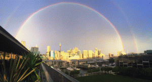 rainbow cbd.GIF