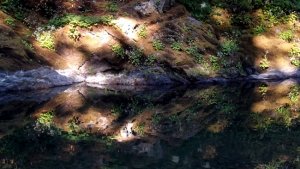 pure reflection.JPG