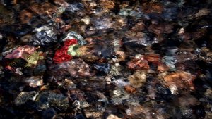 flowing color.jpg