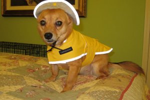 Sukin.raincoat.jpg