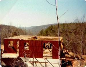 House construction1.jpg