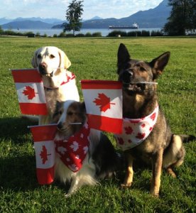 Canada_Day_Canines.JPG