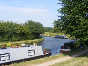 DSCF4118.jpg