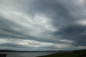 IMG_7727sm.jpg
