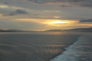 IMG_7887sm.jpg