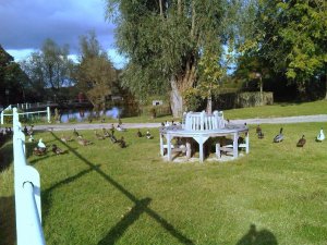 IMG00040-20121014-1519.jpg