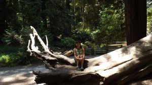 DSCF2511.JPG